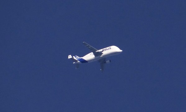 What a surprise to see Beluga F-GSTA at home !