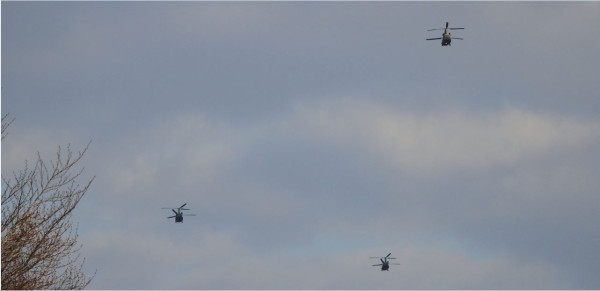 3 Chinooks.JPG