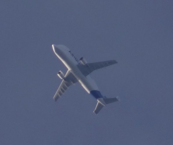 Airbus Beluga F-GSTA (1) visiting again.