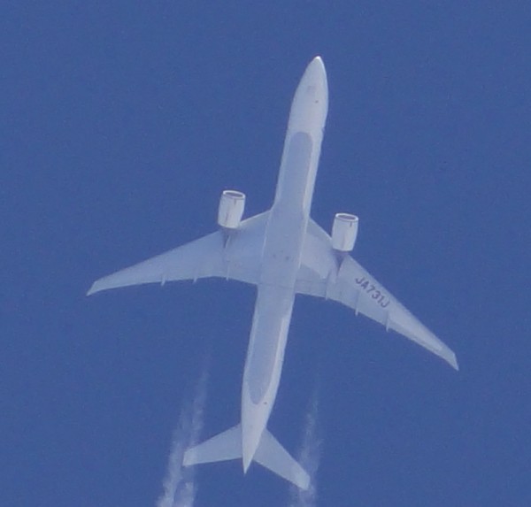 Sadly only from below: JAL 777 JA731J. Nice livery.