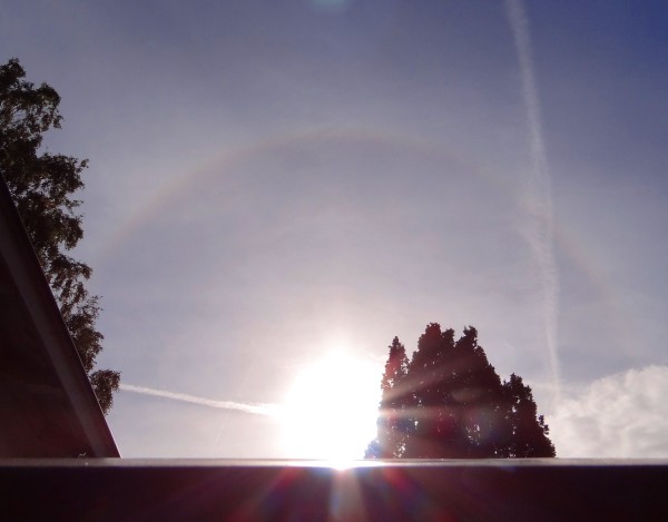 So that was the weather the last few days, sky far from clear, very often with this 22°-Ring halo. Now it has started raining. Contrail is from some Air Berlin A320 fro those wondering....