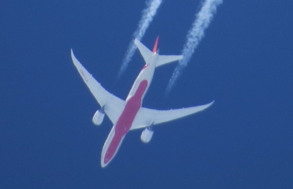 Air India 787 VT-ANJ. Replacing the 777 now the Dreamliners are no longer grounded.