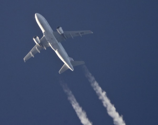 Tunisair A319 (TC-IMO) flying at 37,000 ft from VCE to TUN