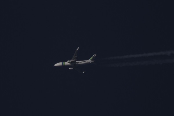 Transavia 738 (F-GZHL) flying at 38,000 ft from TLV to LYS