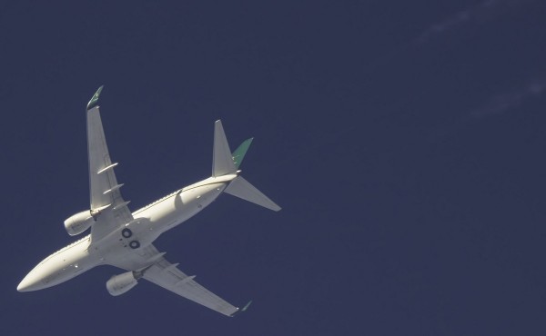Kingdom of Saudi Arabia 737-700 (HZ-MF2) flying at 36,000 ft from RUH to JED