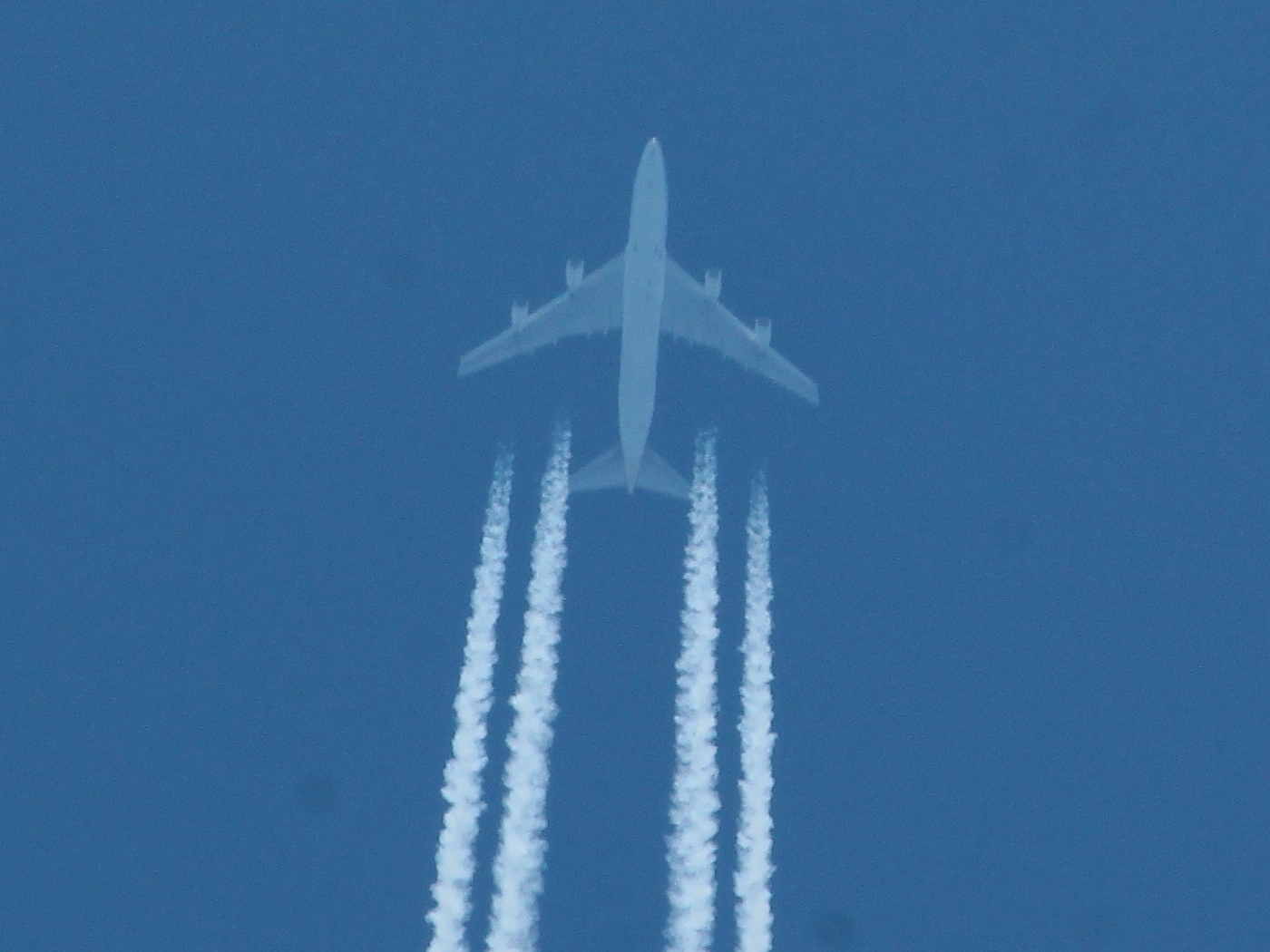 B744 Saudia Cargo TF-AMU SV900 JFK-JED 41000ft.JPG