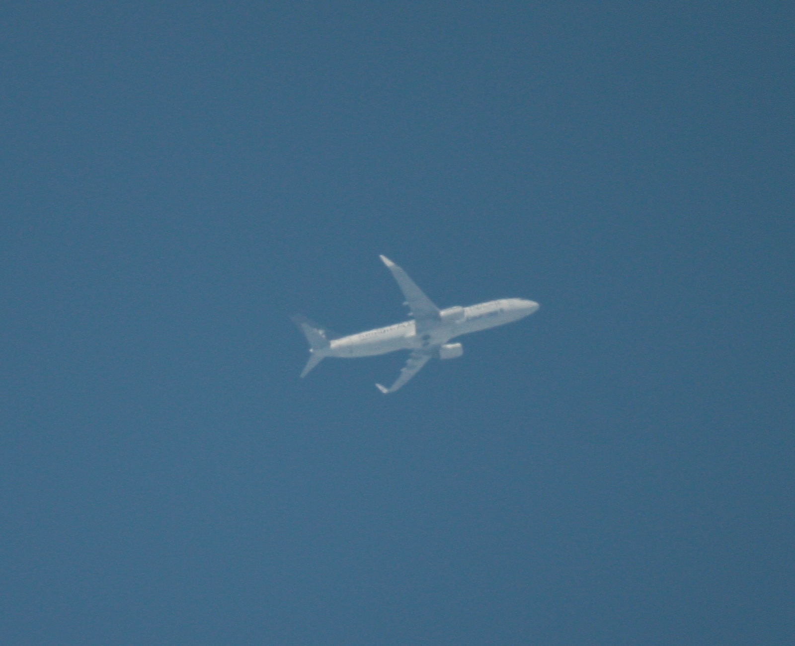 B738 Egyptair (Star Alliance Livery) SU-GCS MSR772 GVA - CAI 38,975 ft.JPG