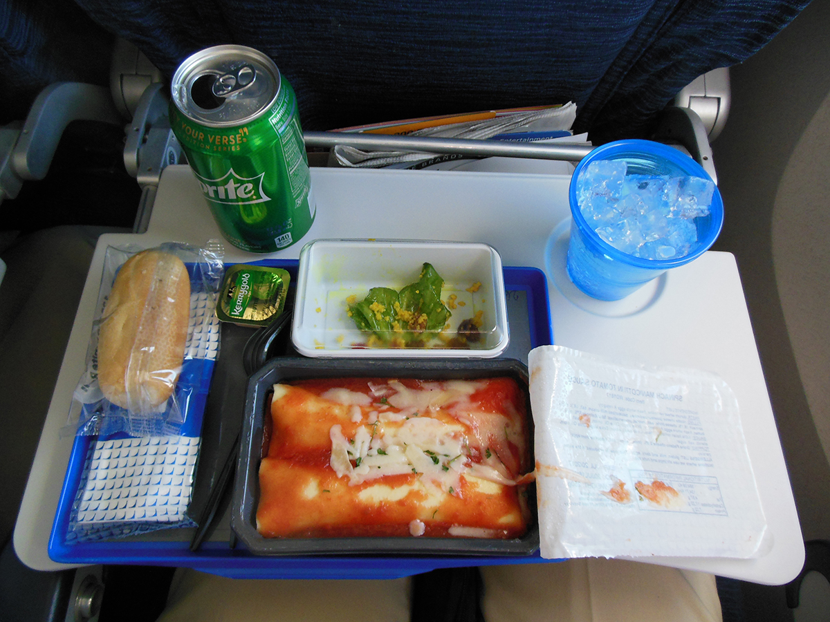 One of the best airline meals I ever had!