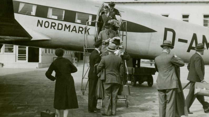 FRA-1934-rebstock