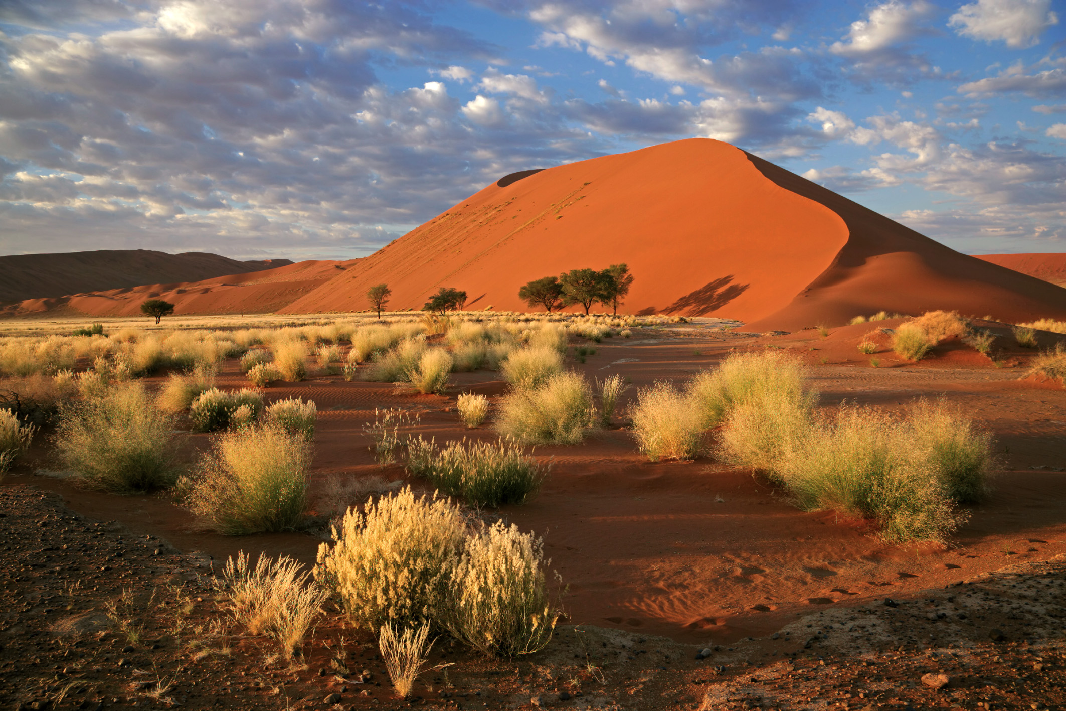Landscape with desert grasses, large sand dune and sky with clouds, Sossusvlei, Namibia, southern Africa
