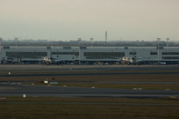 DSC_0042.jpg