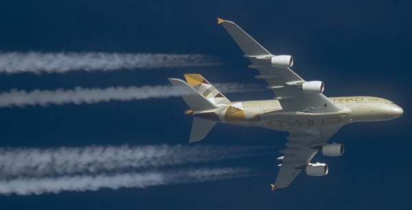 ETIHAD AIRWAYS AIRBUS A380 A6-APD ROUTING JFK--ABU DHABI AS EY100  35,000FT.